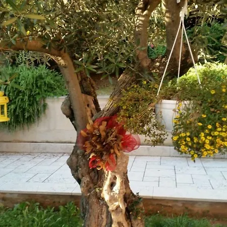 In Azra Daire Rijeka